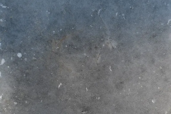 كازينو كوينز جيم الدعم